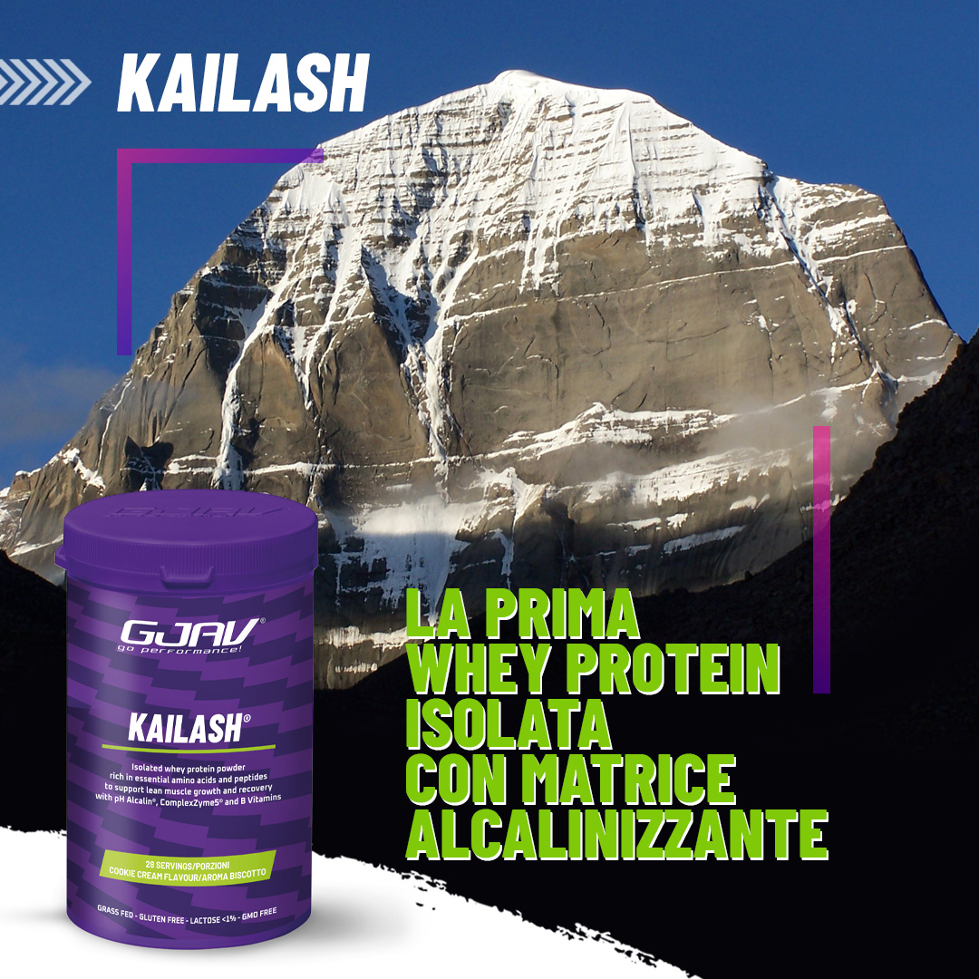 Kailash whey protein isolata