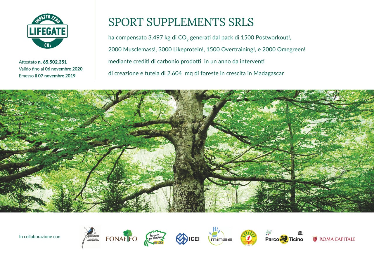 impatto zero gjav sport supplements 2019