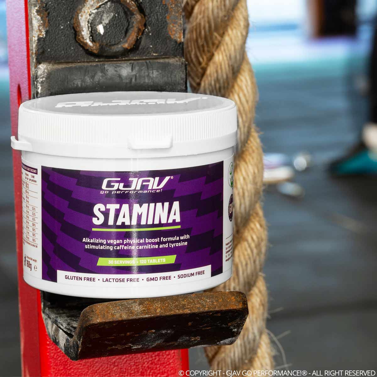 stamina gjav Integratore alimentare carnitina tirosina guaranà